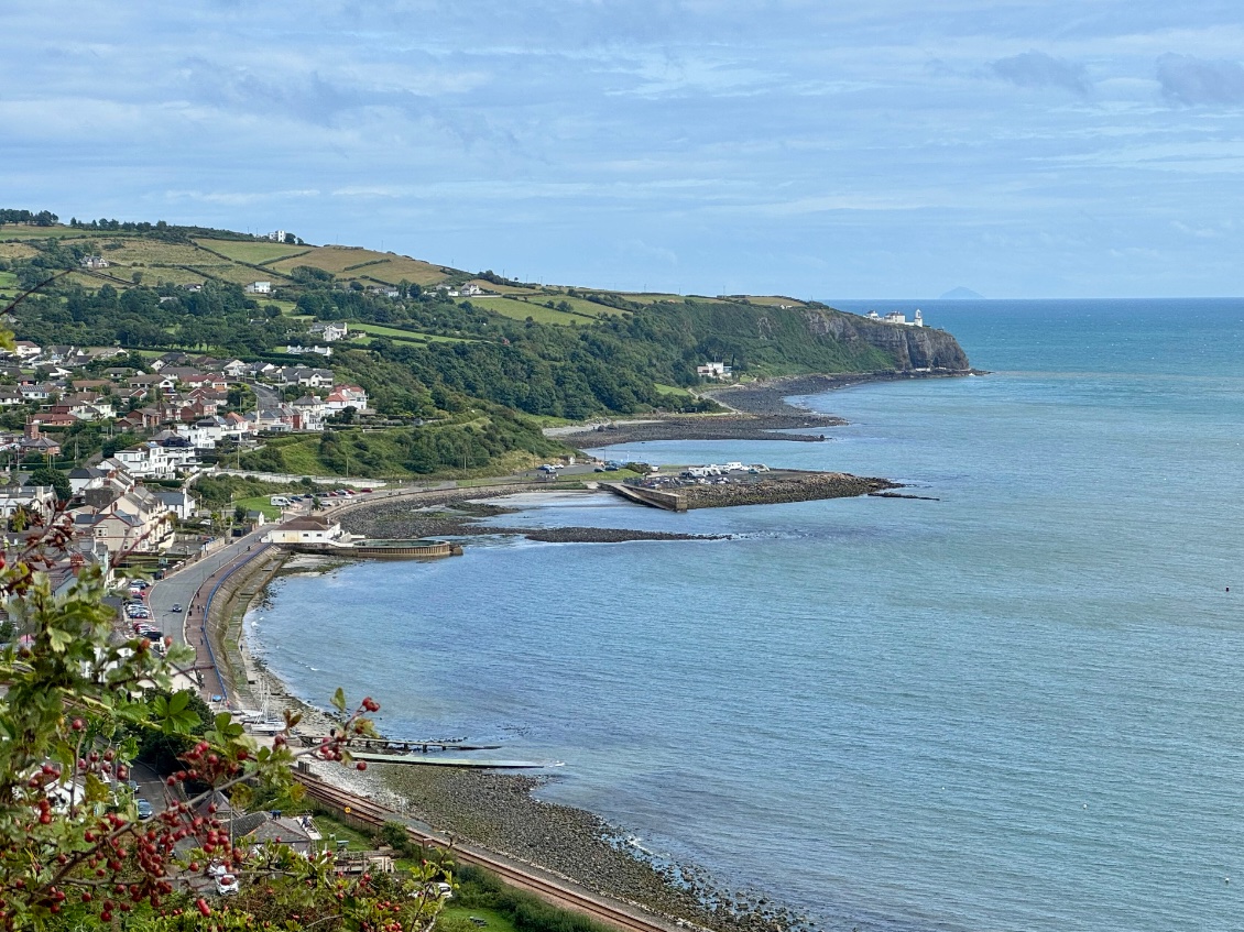 Whitehead