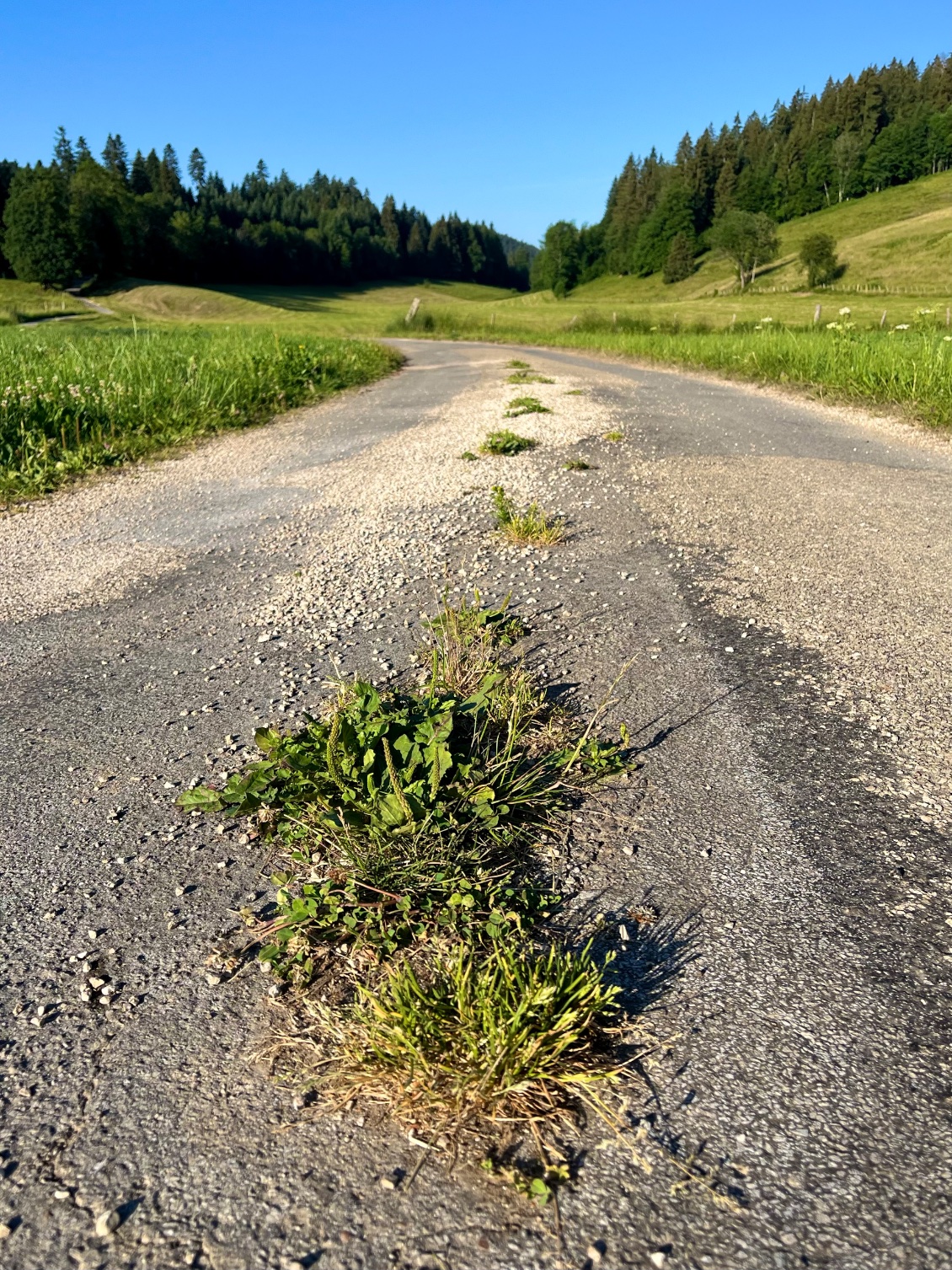 Ces petites routes sauvages qui ne demandent qu’à être abandonnées!