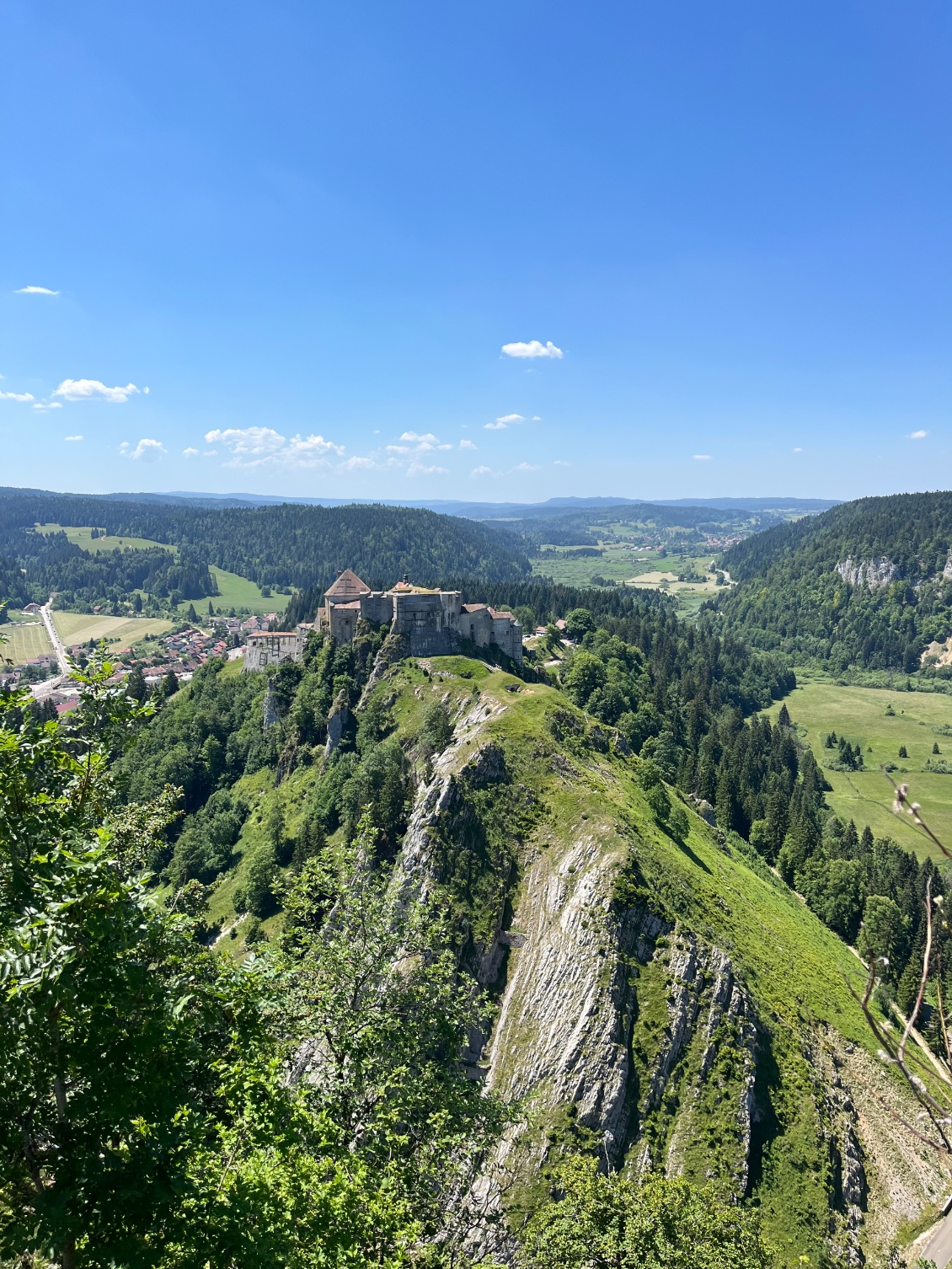 Château de joux et ses chamois croisés…