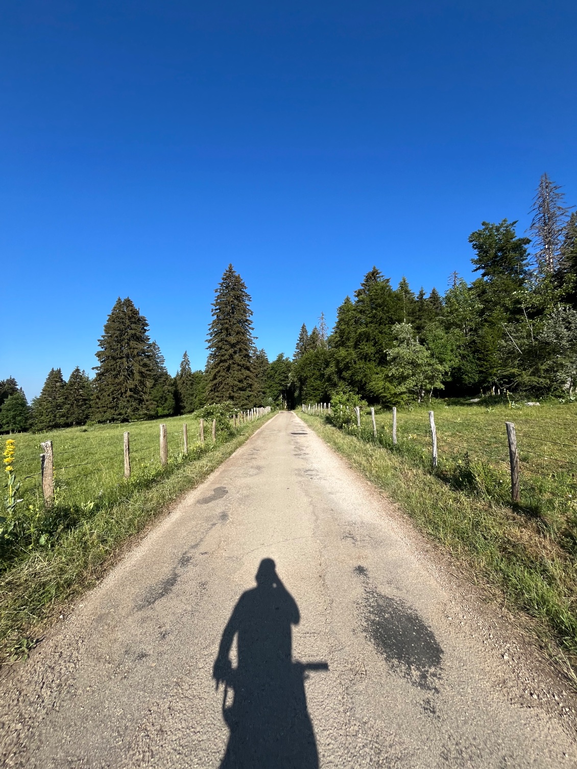 Descente sur Lamoura 