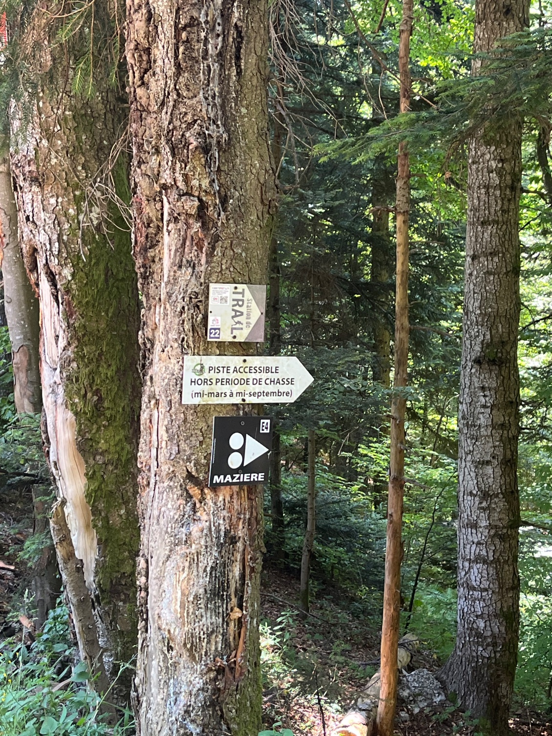 Les risques de la course à pied….🤐