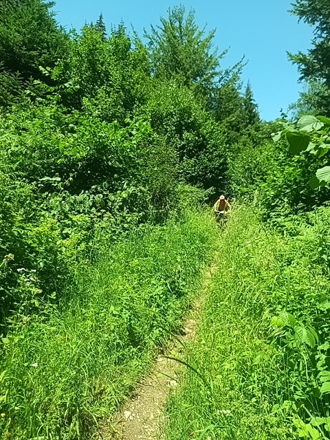 La descente sur artemare!!