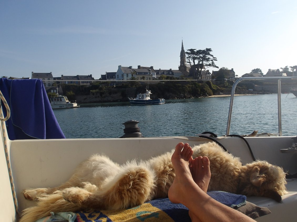 Détente maximum. Rita adore la vie à bord :)