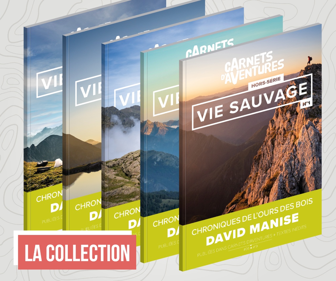 compil-des-chroniques-de-l-ours-des-bois-4-hors-serie-pdf
