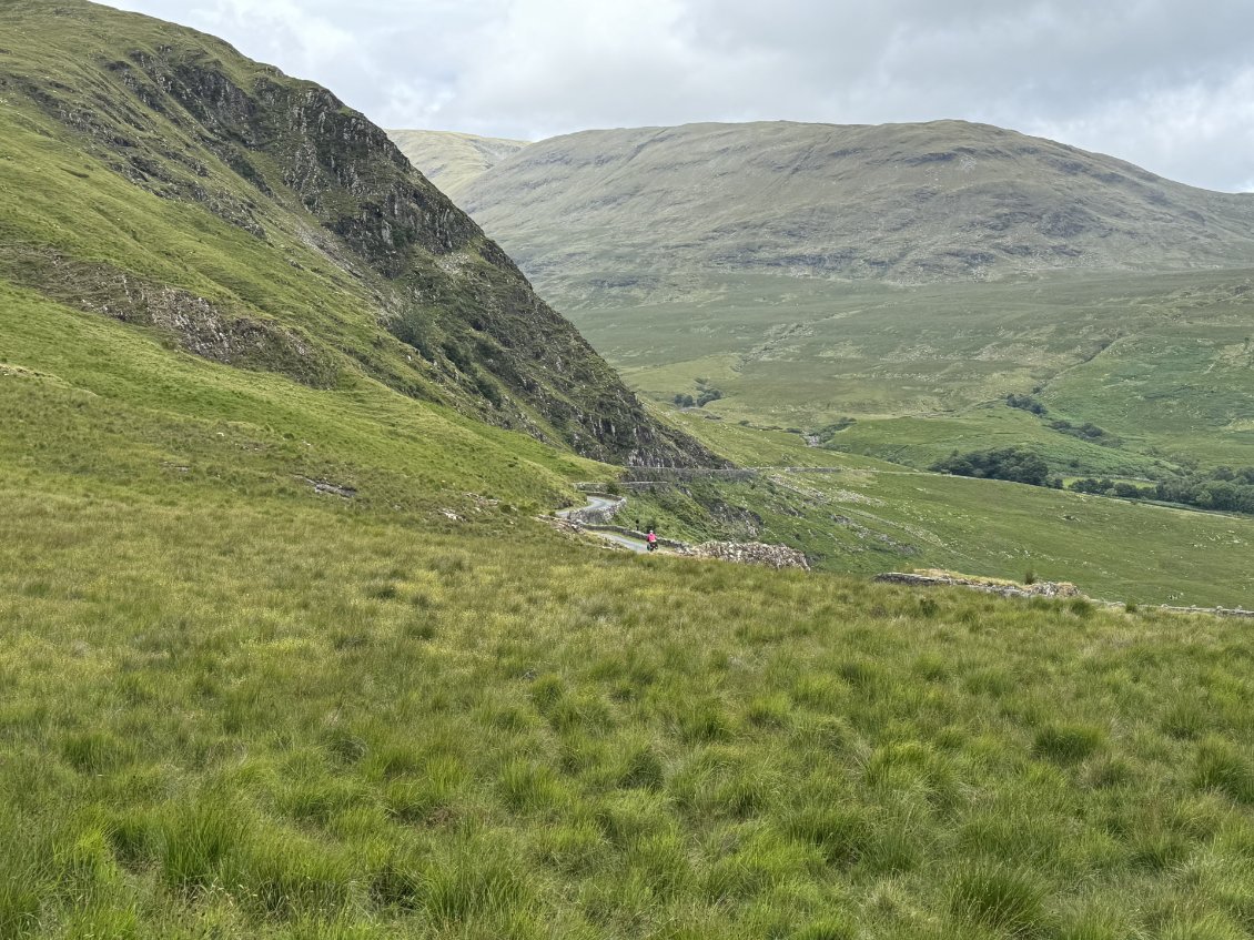 Deux feuilles de trèfle Irlandais