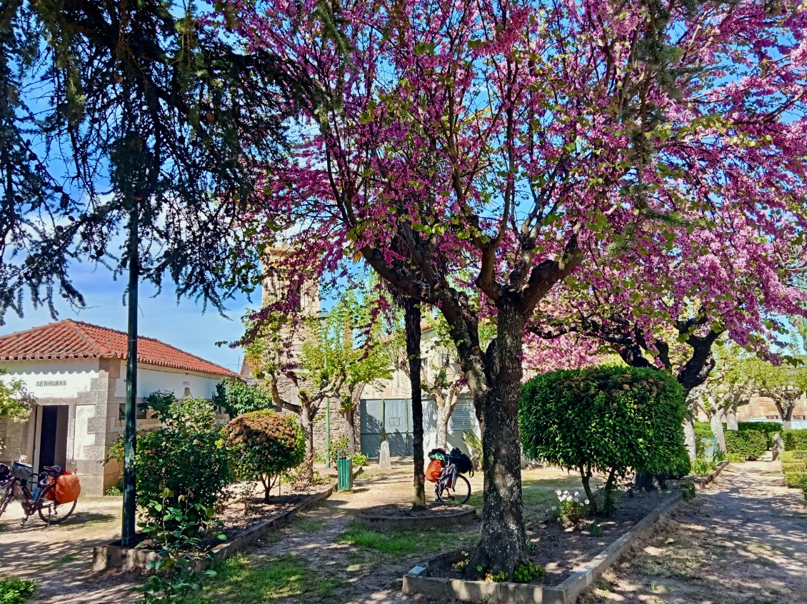 Toujours à Almeida