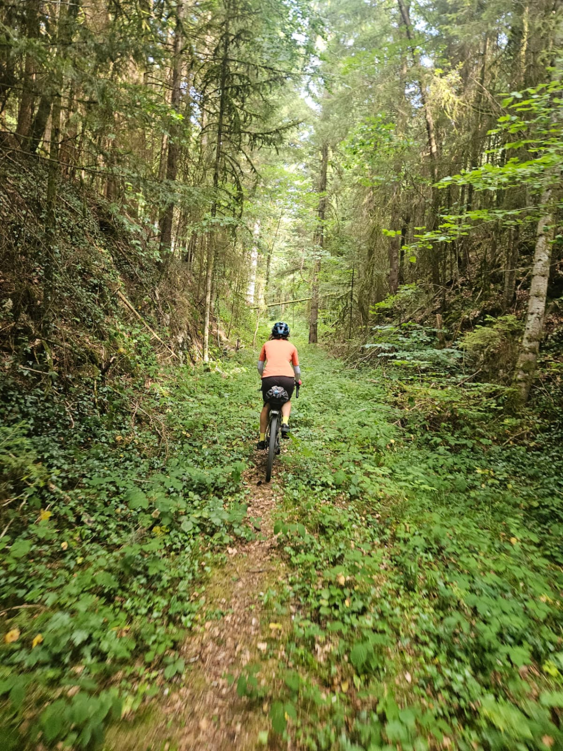 Manon dans le Jura et en Forêt Noire