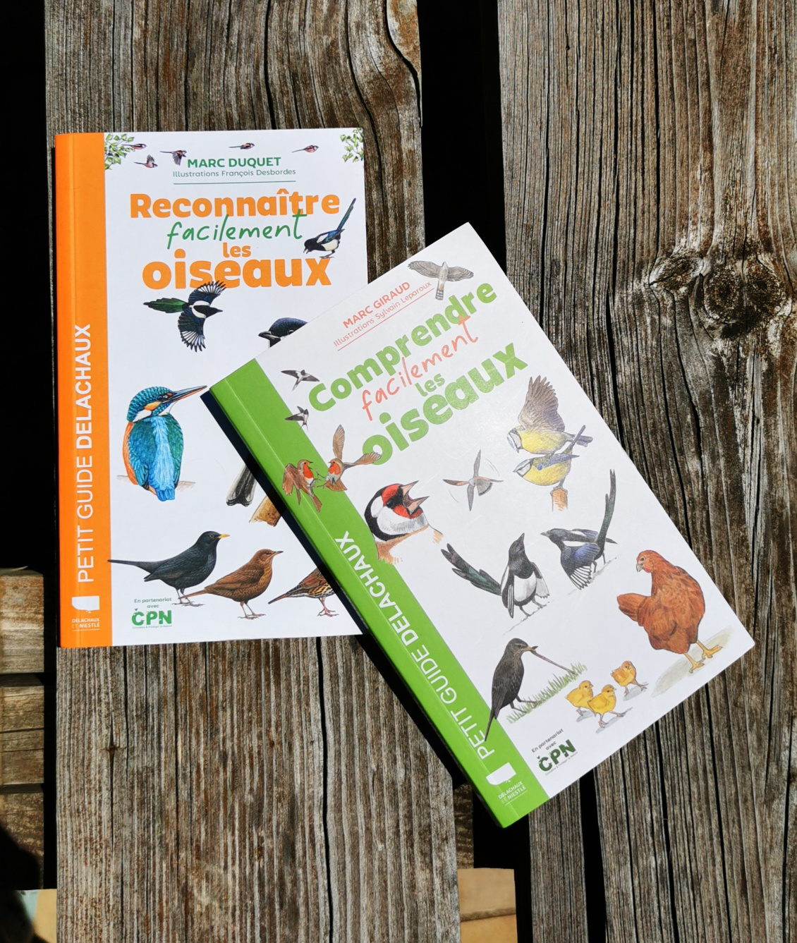 comprendre-facilement-les-oiseaux