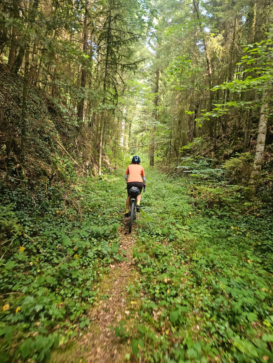 La nature reprend ses droits sur cette ancienne ligne du tacot Pontarlier-Besançon.