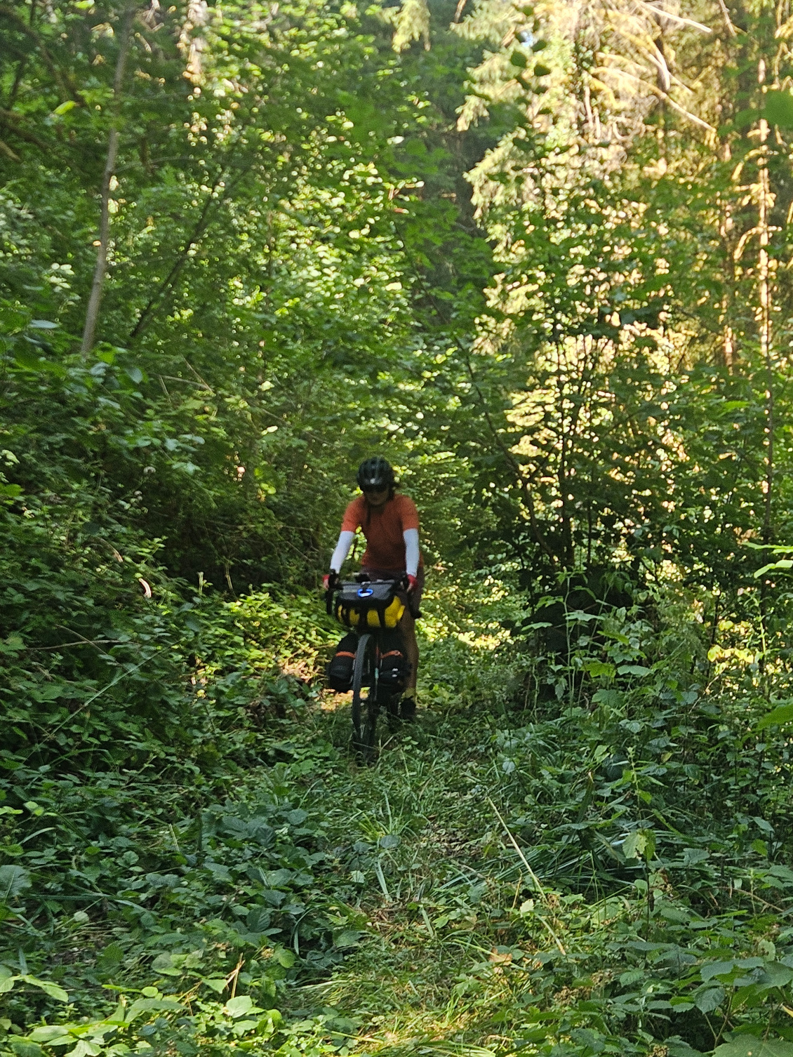 Luxuriance des chemins (presque) oubliés.