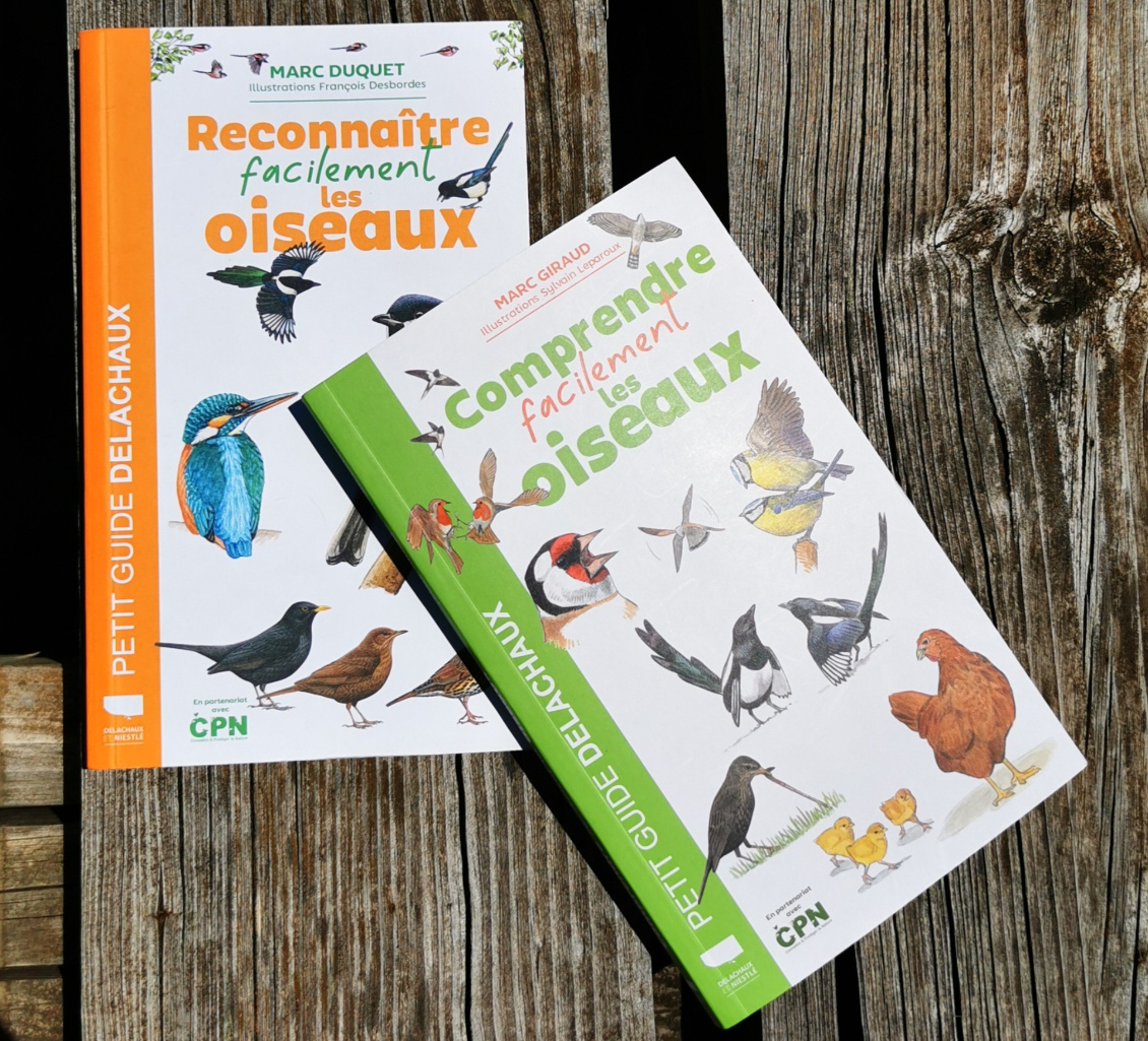 comprendre-facilement-les-oiseaux