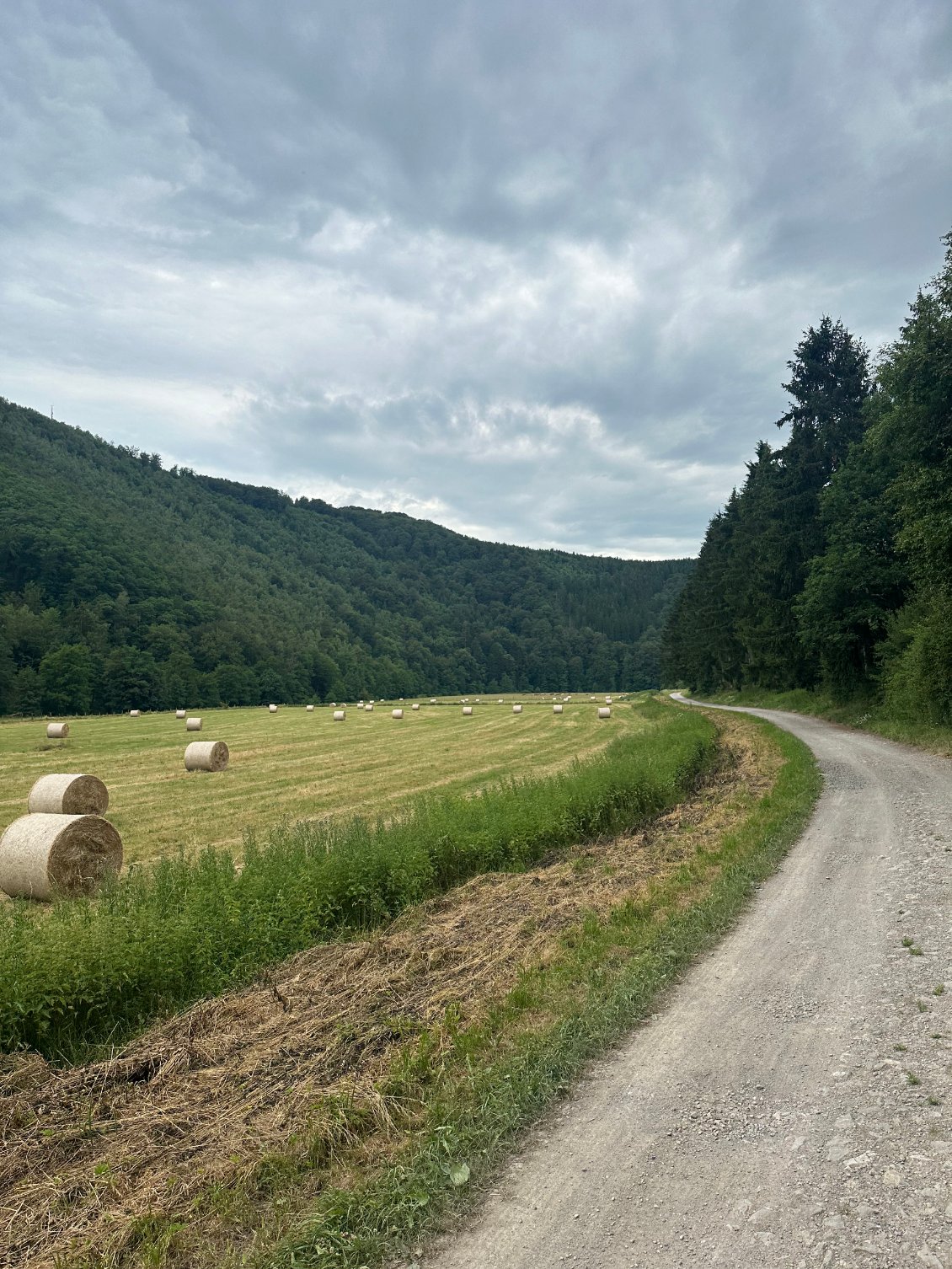 Remonter la Rour