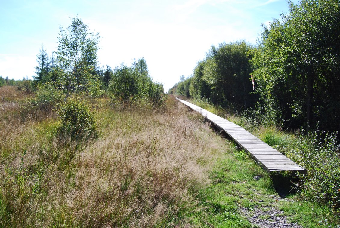Pour ne pas piétiner les joyaux des Hautes-Fagnes...