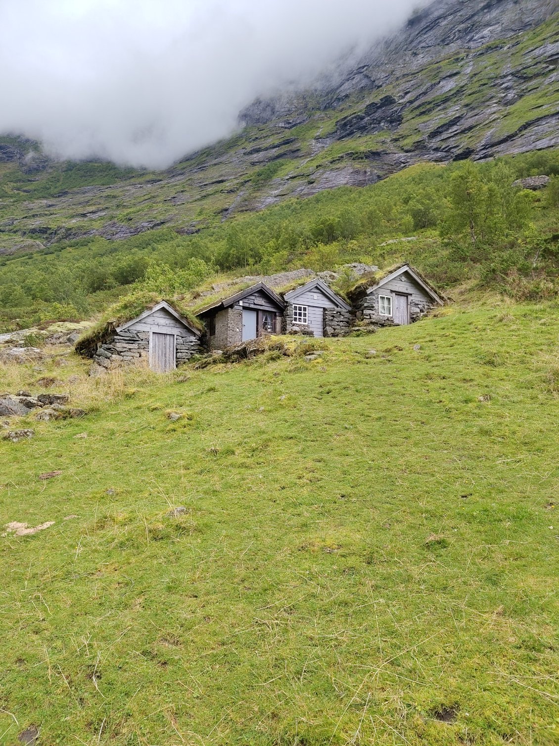 Fermes traditionnelles le long de la descente pour Norangsfjorden